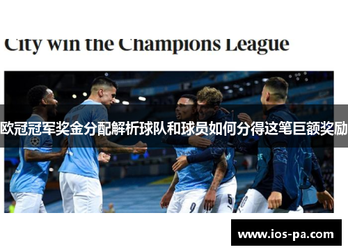 欧冠冠军奖金分配解析球队和球员如何分得这笔巨额奖励