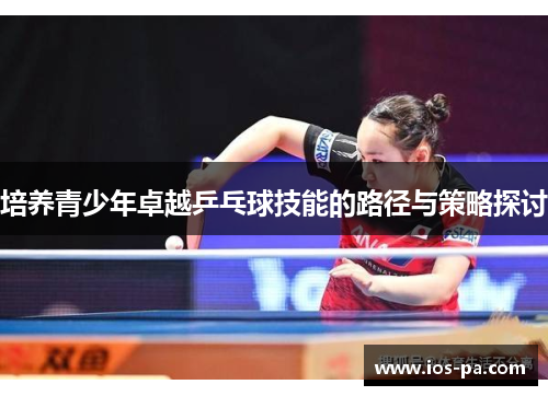 培养青少年卓越乒乓球技能的路径与策略探讨