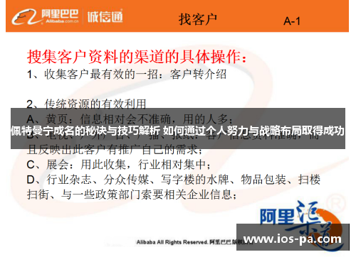 佩特曼宁成名的秘诀与技巧解析 如何通过个人努力与战略布局取得成功