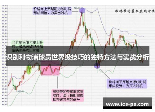识别利物浦球员世界级技巧的独特方法与实战分析 识别利物浦球员世界级技巧的独特方法与实战分析