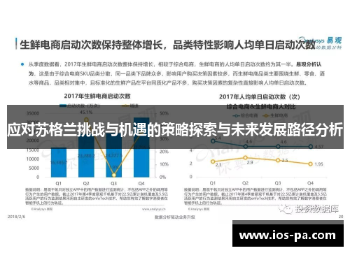 应对苏格兰挑战与机遇的策略探索与未来发展路径分析