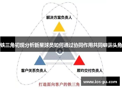 铁三角初现分析新星球员如何通过协同作用共同崭露头角