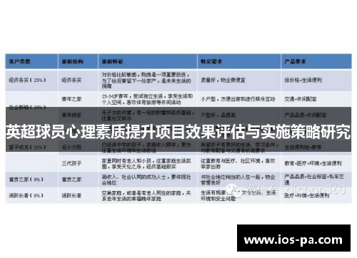 英超球员心理素质提升项目效果评估与实施策略研究